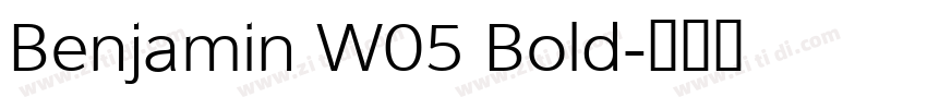 Benjamin W05 Bold字体转换